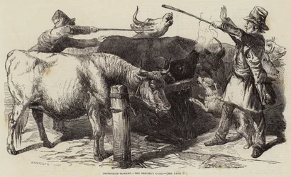 Smithfield-Markt, der Treiberstock